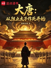 大唐：从阻止太子作死开始在线阅读
