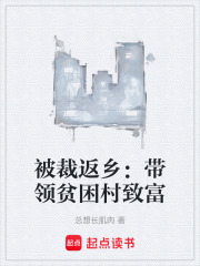 被裁返乡：带领贫困村致富在线阅读