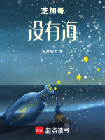 芝加哥没有海最新章节在线阅读