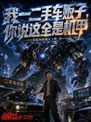 我一二手车贩子，你说这全是机甲在线阅读