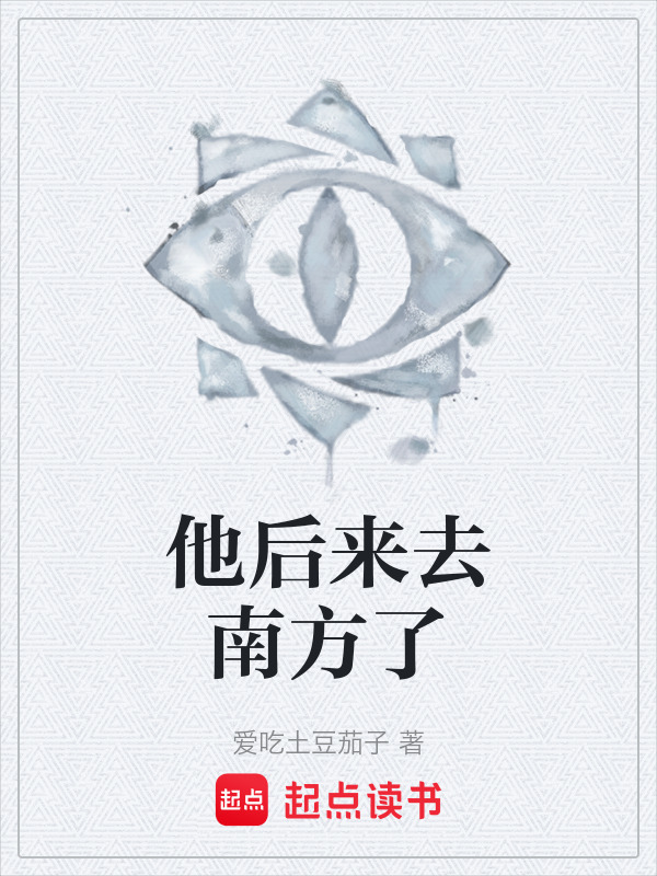 他后来去南方了在线阅读