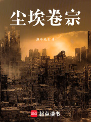 尘埃卷宗在线阅读