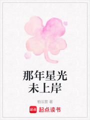那年星光未上岸在线阅读