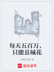 每天五百万，只能县城花在线阅读