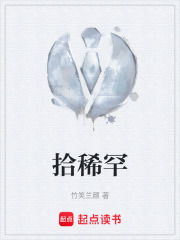 拾稀罕在线阅读
