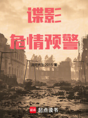 谍影：危情预警