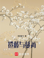 橙藤与蔓海最新章节在线阅读