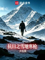 抗日之雪地寒枪在线阅读