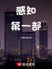 感知第一部