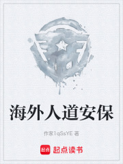 海外人道安保在线阅读