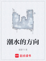 潮水的方向在线阅读