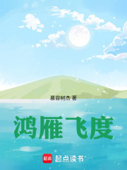 鸿雁飞度在线阅读
