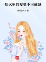 烟火里的爱情不可或缺最新章节在线阅读