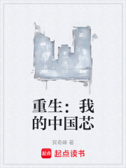 重生：我的中国芯在线阅读