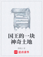 国王的一块神奇土地在线阅读