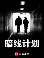 暗线计划在线阅读