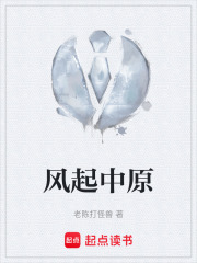 风起中原在线阅读