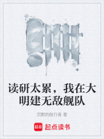 读研太累，我在大明建无敌舰队封面