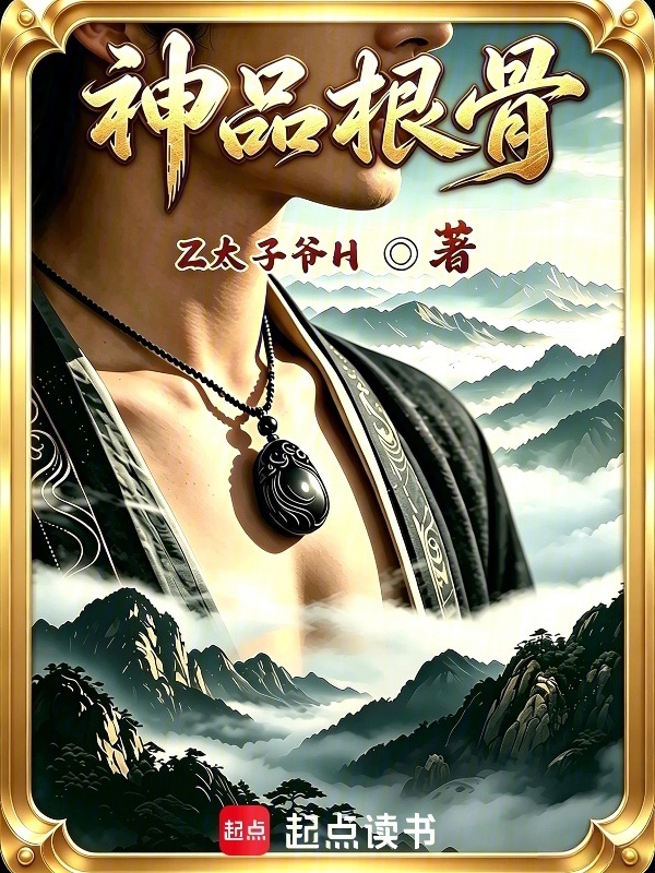 神品根骨封面