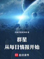 群星：从每日情报开始封面