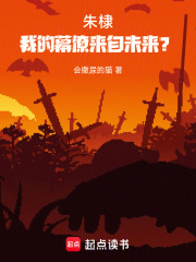 朱棣：我的幕僚来自未来？在线阅读