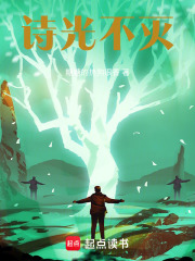 诗光不灭在线阅读