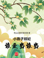 小燕子郑妃谁爱当谁当最新章节在线阅读