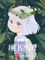 折叠椅项目总经理最新章节在线阅读