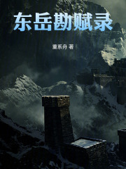 东岳勘赋录在线阅读
