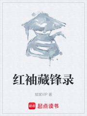 红袖藏锋录在线阅读