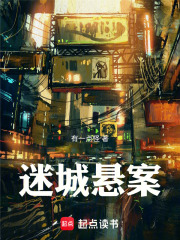 迷城悬案在线阅读