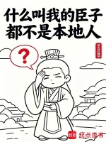 什么叫我的臣子都不是本地人封面