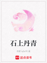 石上丹青在线阅读