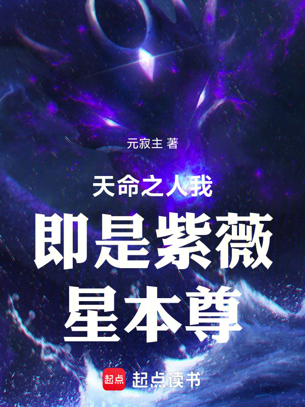 天命之人我即是紫薇星本尊封面