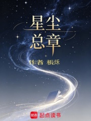 星尘总章