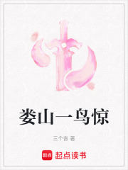 娄山一鸟惊在线阅读