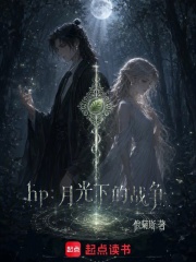 HP：月光下的战争在线阅读