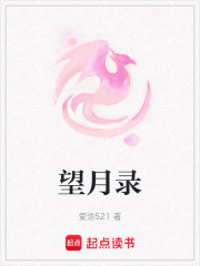 望月录在线阅读