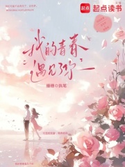 我的青春遇见了你在线阅读