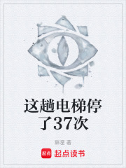 这趟电梯停了37次在线阅读