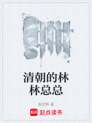 清朝的林林总总在线阅读
