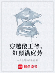 穿越傻王爷，红颜满庭芳在线阅读