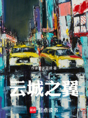 云城之翼在线阅读