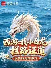西游：我小白龙，拦路证道在线阅读