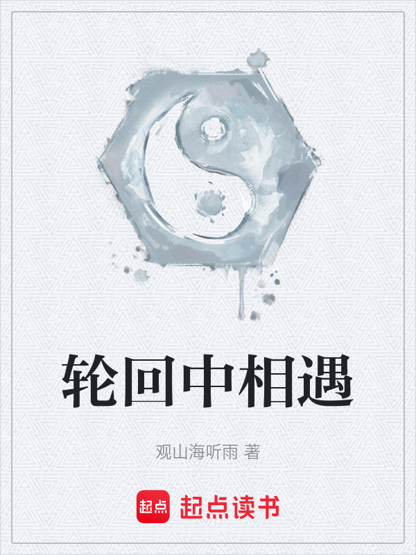 轮回中相遇封面