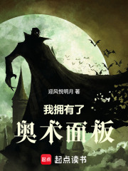 我拥有了奥术面板在线阅读
