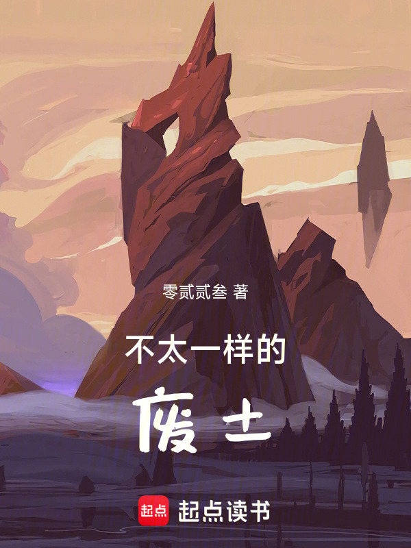 不太一样的废土封面