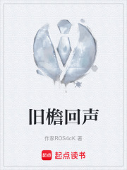 旧檐回声在线阅读
