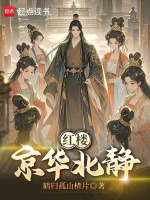 红楼：京华北静封面