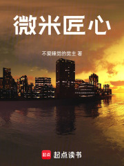 微米匠心在线阅读